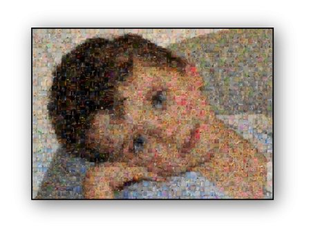 Photo Mosaic Affiche Sale